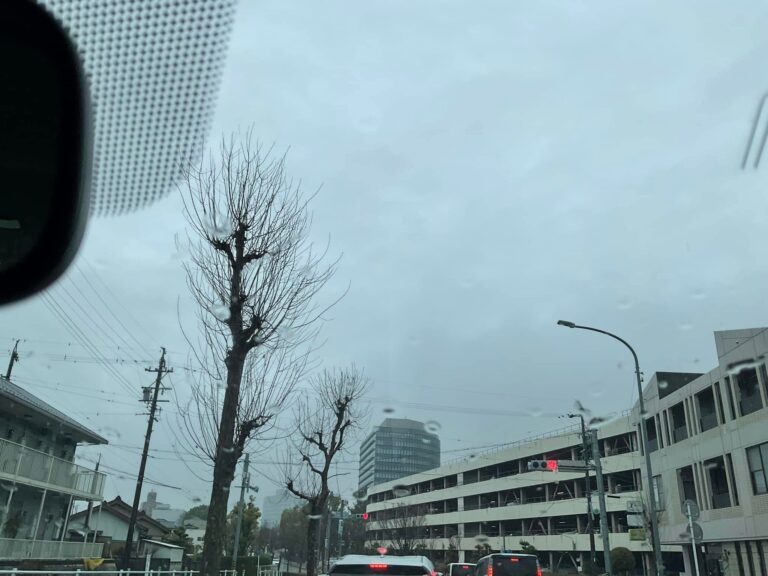 豊田市